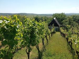 Prodej zahrady, Mikulov, 1471 m2