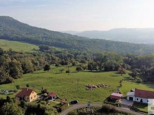 Prodej pozemku pro bydlení, Malšovice - Nová Bohyně, 6828 m2