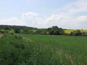 Prodej zemědělské půdy, Postřižín, Zlončická, 2796 m2