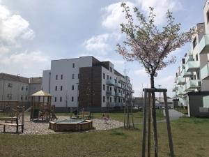 Prodej bytu 2+kk, Olomouc, Třída Jiřího Pelikána, 62 m2