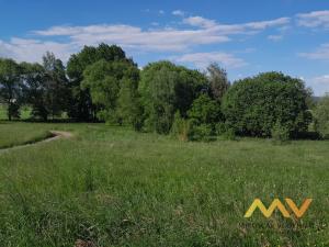 Prodej trvalého travního porostu, Dvůr Králové nad Labem, Sylvárov, 5858 m2