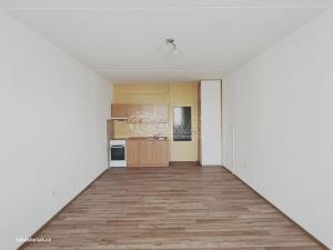 Pronájem bytu 1+kk, České Budějovice - České Budějovice 2, K. Chocholy, 31 m2