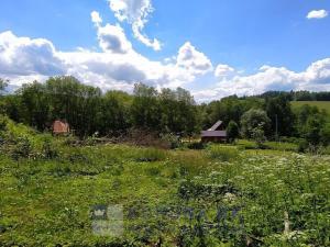 Prodej pozemku pro bydlení, Benešov nad Černou - Kuří, 7089 m2