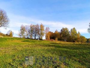 Prodej pozemku pro bydlení, Benešov nad Černou - Kuří, 7089 m2