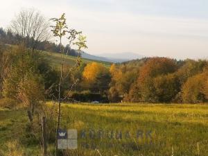 Prodej pozemku pro bydlení, Benešov nad Černou - Kuří, 7089 m2