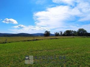 Prodej pozemku pro bydlení, Benešov nad Černou - Kuří, 7089 m2