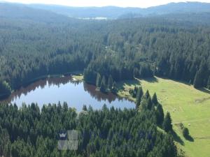 Prodej pozemku pro bydlení, Benešov nad Černou - Kuří, 7089 m2