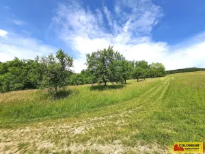 Prodej rodinného domu, Ludkovice - Pradlisko, 125 m2