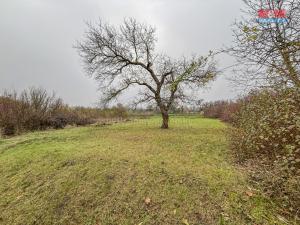 Prodej pole, Třebenice, 468 m2