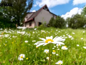 Prodej rodinného domu, Čermná, 280 m2