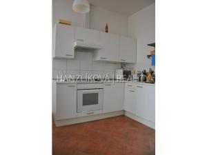 Pronájem bytu 1+1, České Budějovice - České Budějovice 3, J. Š. Baara, 37 m2
