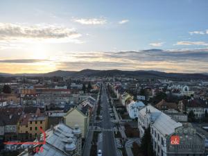 Prodej historického objektu, Krnov - Pod Bezručovým vrchem, Mikulášská, 3090 m2