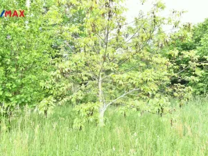 Prodej pozemku pro bydlení, Nový Bydžov, 4580 m2