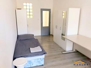 Pronájem bytu 4+kk, Jihlava, Palackého, 95 m2