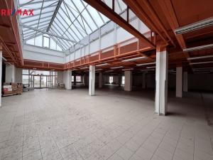 Pronájem obchodního prostoru, Pelhřimov, Solní, 600 m2