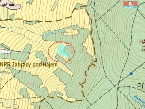 Prodej trvalého travního porostu, Velká nad Veličkou, 2902 m2