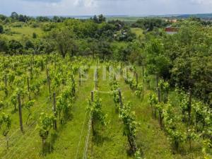 Prodej pozemku pro bydlení, Dolní Kounice, 3397 m2