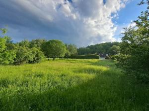 Prodej pozemku pro bydlení, Jenišov - Pod Rohem, 1072 m2