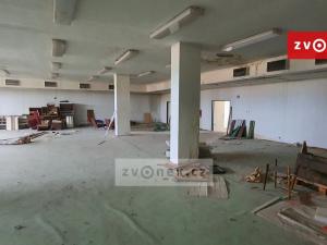 Pronájem obchodního prostoru, Horní Moštěnice, 600 m2