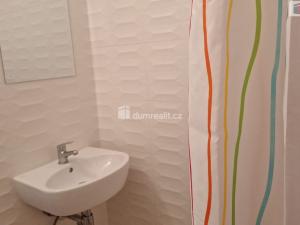 Pronájem bytu 2+kk, Litoměřice - Předměstí, Družstevní, 48 m2