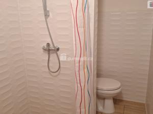 Pronájem bytu 2+kk, Litoměřice - Předměstí, Družstevní, 48 m2