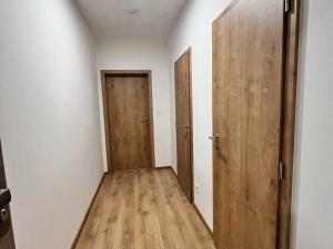 Pronájem bytu 1+kk, Olomouc - Neředín, Frištenského, 32 m2