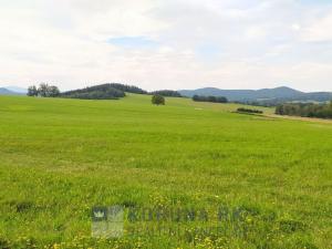 Prodej pozemku pro bydlení, Benešov nad Černou - Kuří, 2200 m2