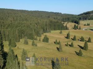 Prodej pozemku pro bydlení, Benešov nad Černou - Kuří, 2200 m2