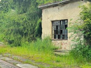 Prodej pozemku, Věcov - Roženecké Paseky, 10176 m2