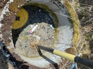 Prodej zahrady, Liběšice - Zimoř, 8000 m2