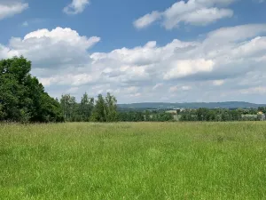 Prodej zahrady, Liběšice - Zimoř, 8000 m2