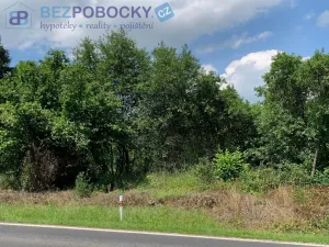 Prodej zahrady, Liběšice - Zimoř, 8000 m2