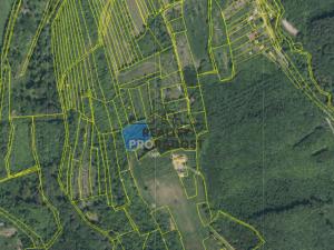 Prodej sadu/vinice, Koryčany, 4253 m2