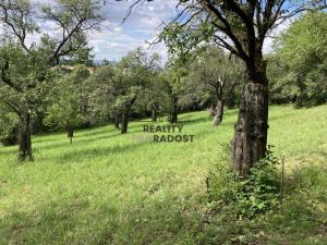 Prodej sadu/vinice, Koryčany, 4253 m2