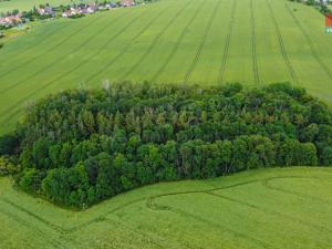 Prodej zemědělské půdy, Tuřany - Byseň, 27000 m2