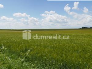 Prodej zemědělské půdy, Dolní Bousov - Horní Bousov, 11679 m2