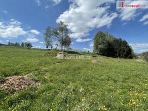 Prodej pozemku pro bydlení, Staré Buky - Prostřední Staré Buky, 1100 m2