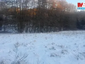 Prodej trvalého travního porostu, Oselce - Kotouň, 19732 m2