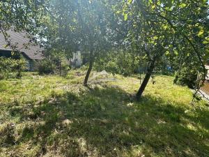 Prodej rodinného domu, Cetoraz, 989 m2