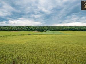 Prodej pozemku pro bydlení, Slavětín, Pod Lesem, 1000 m2