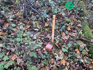 Prodej lesa, Ženklava, 15096 m2