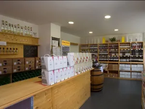 Prodej rodinného domu, České Budějovice, Husova tř., 208 m2