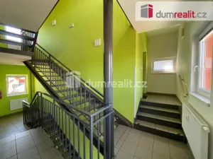 Pronájem bytu 1+kk, Opava - Předměstí, Oblouková, 25 m2