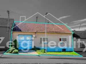 Prodej rodinného domu, Starý Poddvorov, 300 m2