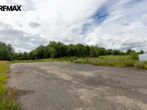 Prodej zemědělského objektu, Žlutice, 9153 m2