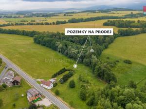 Prodej trvalého travního porostu, Dětřichov, 4178 m2