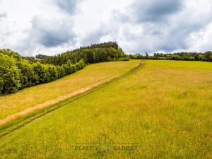 Prodej trvalého travního porostu, Horní Poříčí, 7954 m2