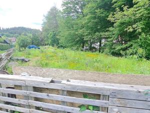 Prodej zahrady, Vsetín - Rokytnice, Amerika, 640 m2