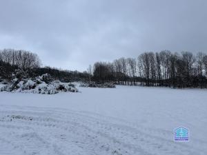 Prodej trvalého travního porostu, Čížkov, 7747 m2