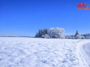 Prodej pozemku pro bydlení, Chotěvice, 5284 m2